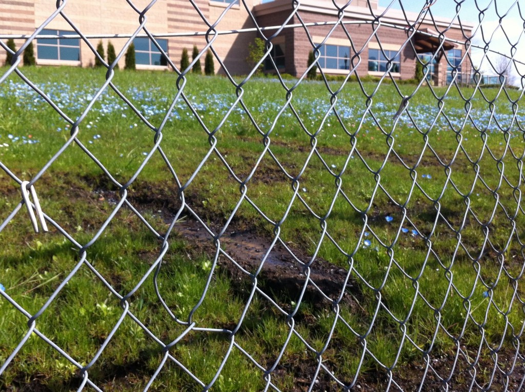 Bare spots created by pour drainage on the Y's saturated hillside, soon to be fixed with drainage pipes along Ridge ST