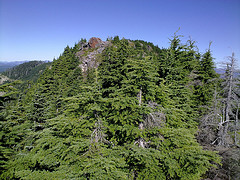 5041121012_508f3bba8f_m