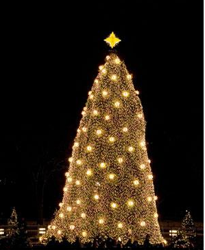 The 2009, 18 foot White House Douglas Fir Christmas Tree