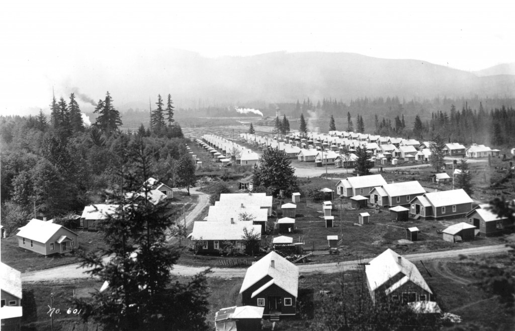 The Orchard - Clark Kinsey#601 LS