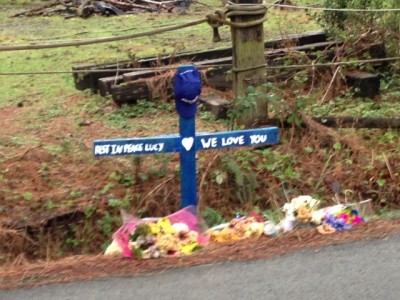 Memorial for Lucy at spot of the 1/1/13 accident on 394th PL near North Bend