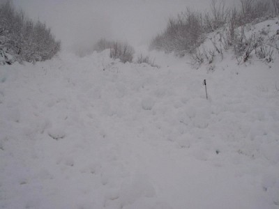 Granite Mountain avalanche debris field, ski pole was a clue. Photo: Seattle Mountain Rescue Facebook page