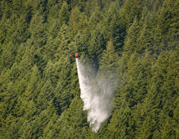 Photo by Teresa Schomber, 7/26/13