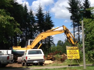 Woodlandssiteclearing