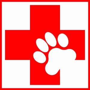 pet-first-aid1