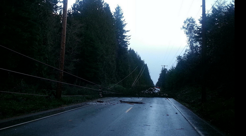 Storm damage PSE crews are working to repair, 1/11/14. Photo: PSE Facebook page