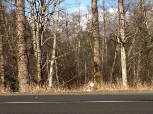 babylocation:balloon