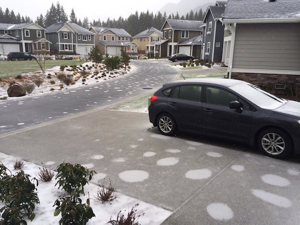Freezing rain and snow in North Bend, 3/2/14. Photo: Aaron Reed