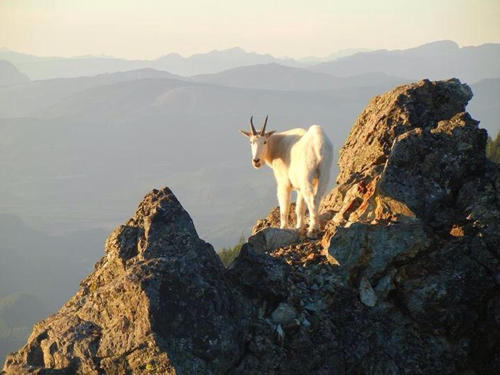 Mt. Si's 'Haystack' peak September 20-13. Photo by Sara Maddux