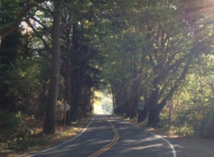 Screen Shot 2014-06-21 at 7.16.59 AM