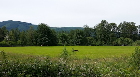 Three Forks Off-Leash Dog Park in Snoqualmie.