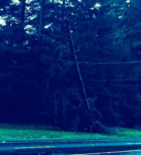 Tree leans on power lines at corner of North Bend Way near Tanner.