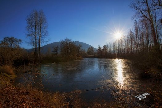 Frozen Snoqualmie River at Three Forks Dog Park. Photo by Don Detrick