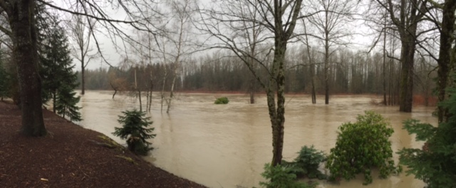Sandy Cove Park in downtown Snoqualmie, 1/5/15.