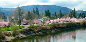 Screen Shot 2015-03-06 at 11.03.17 AM