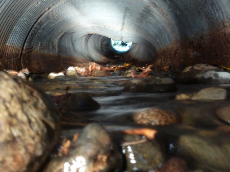Lake Alice Road culvert damage. Photo: King Country Road Services