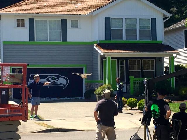 Scene filmed for future lottery commercial featuring Seahawks live mascot.