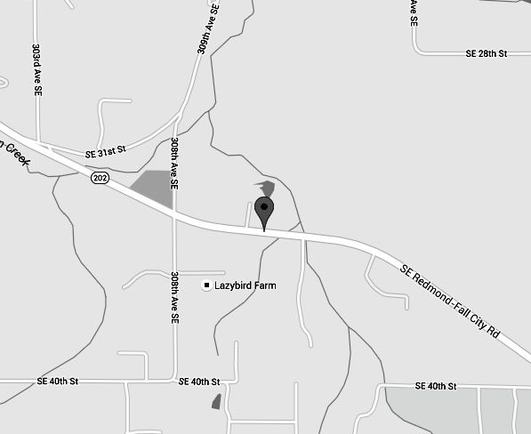 fC shot victim story