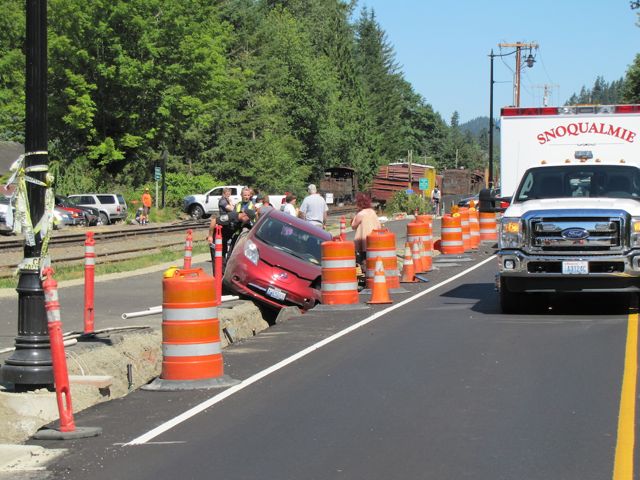 leaf in ditch with police