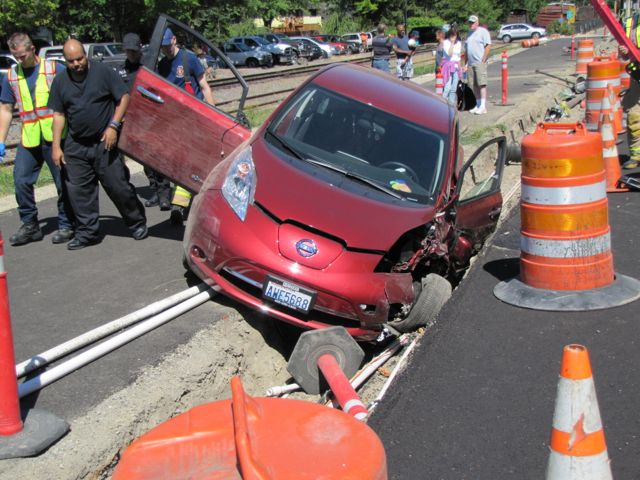 leaf in dtich close up