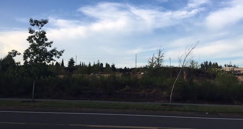 Snoqualmie Ridge Business Park parcels 11 and 12-1 where a potential retail development is proposed