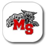mshs logo