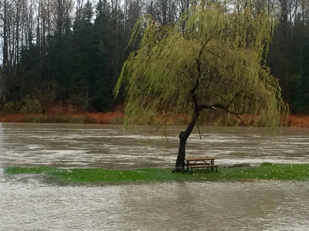 Sandy Cove Park in Snoqualmie 