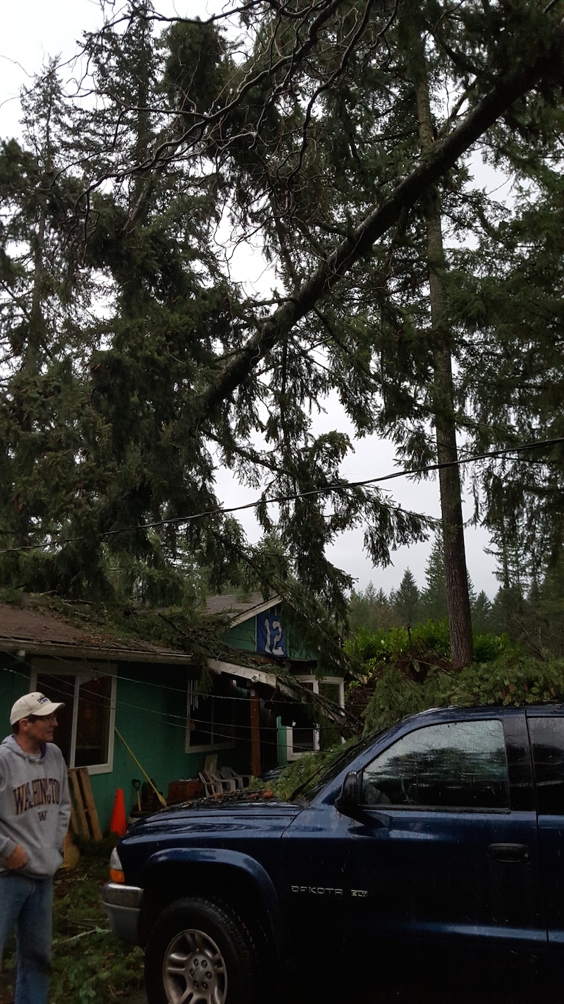 Uprooted tree lands on Riverbend home, 12/9/15. Photo: Stephanie Sprouse