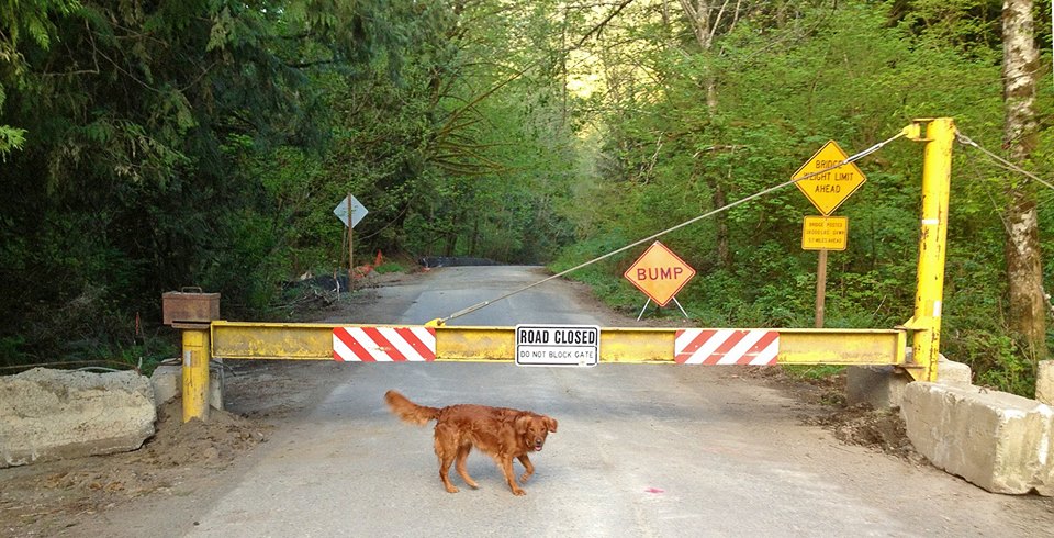 Middle Fork Road Closed. Photo: Steve Hughes