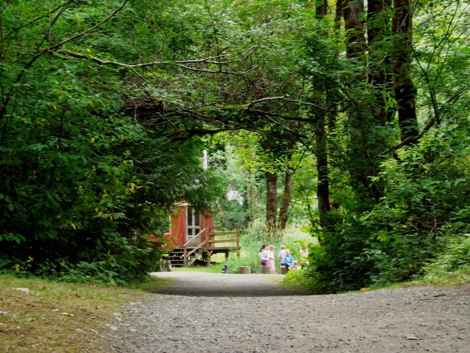 View of part of Camp Terry property in Preston. Photo: YMCA Facebook