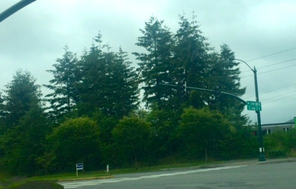 Parcel 20 at the corner of Snoqualmie Pkwy and Center Street.