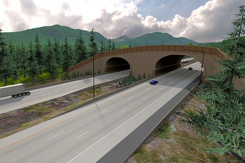 A design visualization of the completed Keechelus Lake Wildlife Overcrossing. Source: WSDOT