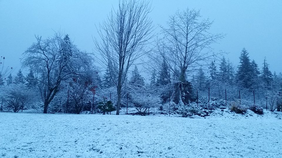 Snow in Wilderness Rim, 12/4/16. Photo by Kathy Hyland